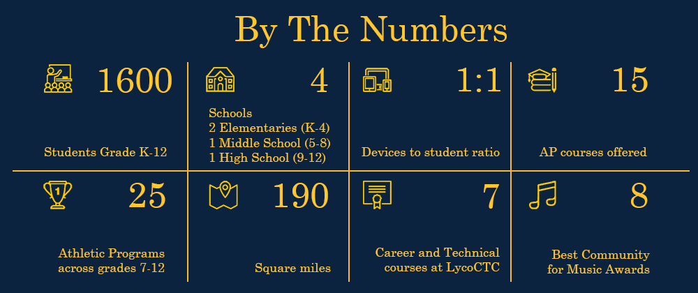 Chart showing district-level statistics